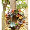 Pot Hanging Garden Planter Succulent Cactus Pot, Assorted Designs