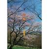 Yamazakura Haiku Collection Book Anthology of Japanese Haiku Poetry