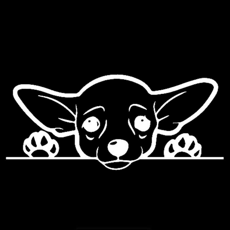 

Lykx Милий Собака Чихуахуа Автомобільна Наклейка Зовнішні Аксесуари Вінілові Наліпки для Вантажівок Мікроавтобусів Позашляховиків Вікон Стін Чашок Ноутбуків 15cm X 6.7cm білий