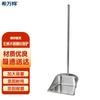Xiwanhui Long Handle Stainless Steel Frosted Dustpan