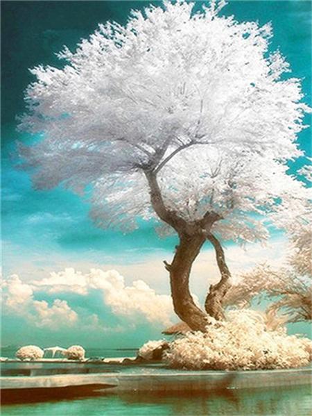 Diamond Painting Kit Tree Landscape Full Square/round Embroidery Mosaic Fantasy Landscape Home Decor