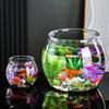 Bolas de Peces de Plástico Redondas Transparentes Bol para Peces Dorados Acuario Maceta Hidropónica Contenedor Floral Para Centro de Mesa Peces Decoración del Hogar