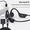 Sayrelances B30X Bone Conduction Swimming Headphones
