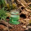 Detachable Reptiles Water Feeder Anti-slip Water Bowl Durable Reptile Water Dispenser  Turtle