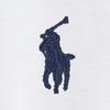 Polo Ralph Lauren Mens Custom Slim Fit Mesh Polo Shirts  Mnpokni1n820078100 