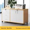 Lockable Mobile Wooden Cabinet for Under Desk Storage