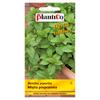 Peppermint Vegetable Seeds for the Garden 0.1g