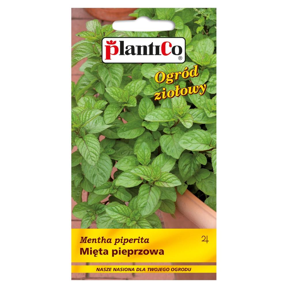 Peppermint Vegetable Seeds for the Garden 0.1g
