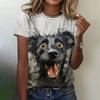 Women's street fashion T-shirt cartoon animal 3D printed short sleeved versatile casual loose round neck top women's clothing
