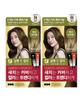Elastine Salon De Color Hair Dye Ash Brown 100g X 2