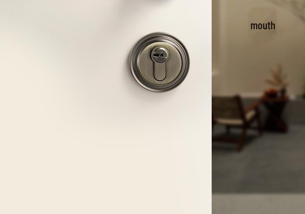 Vintage Style Magnetic Silent Door Lock with Black Walnut Wood Handle