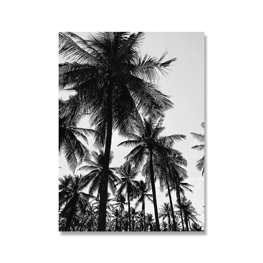 Scandinavian Poster Black White Beach Palm Tree Nordic Style Wall Art Canvas Print Painting Decoration Picture Living Room Decor No Frame