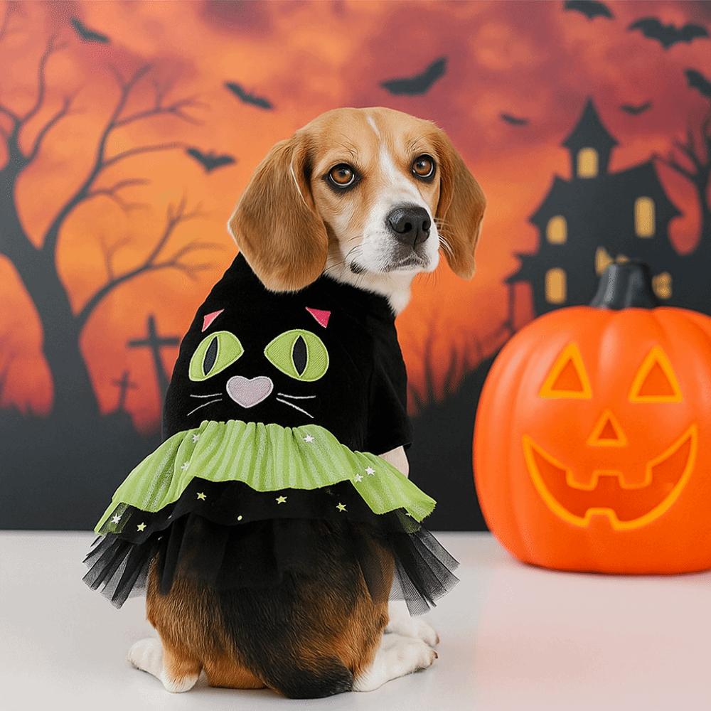 Cute Two Legged Dog Halloween Dress Soft Black Dog Pullover Comfortable Dog Lace Skirt Cosplay Party