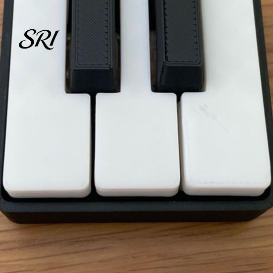 Commuter Stress Toy Mini Piano Keychain, Key Clicker, Playable Fingertip Relief Clicker with Metal Ring, Classic Black White Keys for Music Lovers And