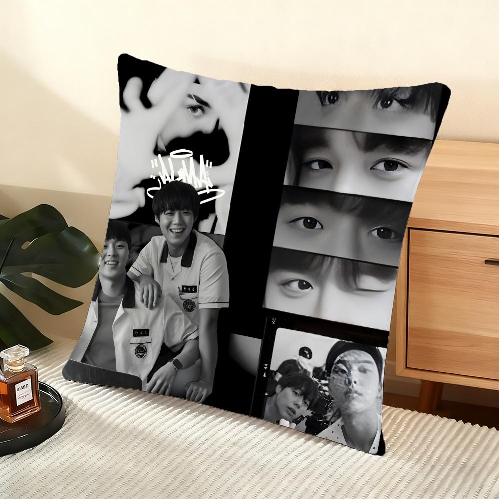 Cushion Cover Silky Short Plush Home Sofa Cushion Cover - Invisible Zipper Home Decoration WeakHero TV Series