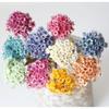 Brazil Starflower Daisy Scented Candle, Lipstick, and Dried Flower Mini Bouquet DIY Resin Photo Frame Arrangement