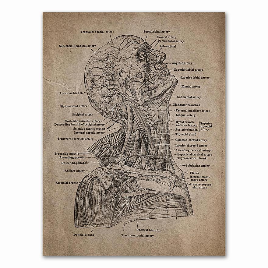 Anatomy skeleton Patent Vintage Poster Wall Art Print Canvas Painting Nordic Posters And Prints Wall Pictures For Living Room
