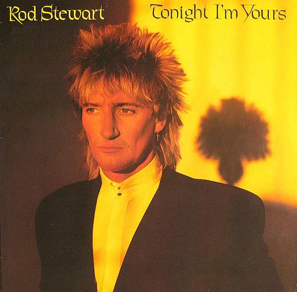 

LP Record ROD STEWART Tonight Im Yours XBS3602 Warner Bros. Re 1981 Canada Rock Used