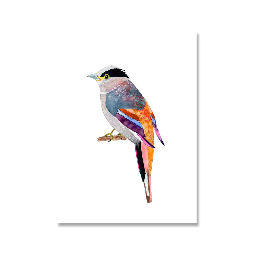 Toucan Watercolor Tropical Rain Forest  Wall Art Canvas Painting Nordic Toucan Posters And Print Picture Living Room Home Decor