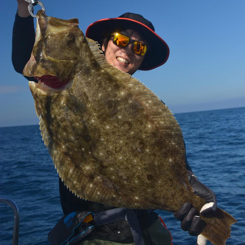 Hayabusa Funagoku Kamiase Sabiki Light Tackle Drop Keimura Holoflash 4 Pieces SS428 & 6-6-6