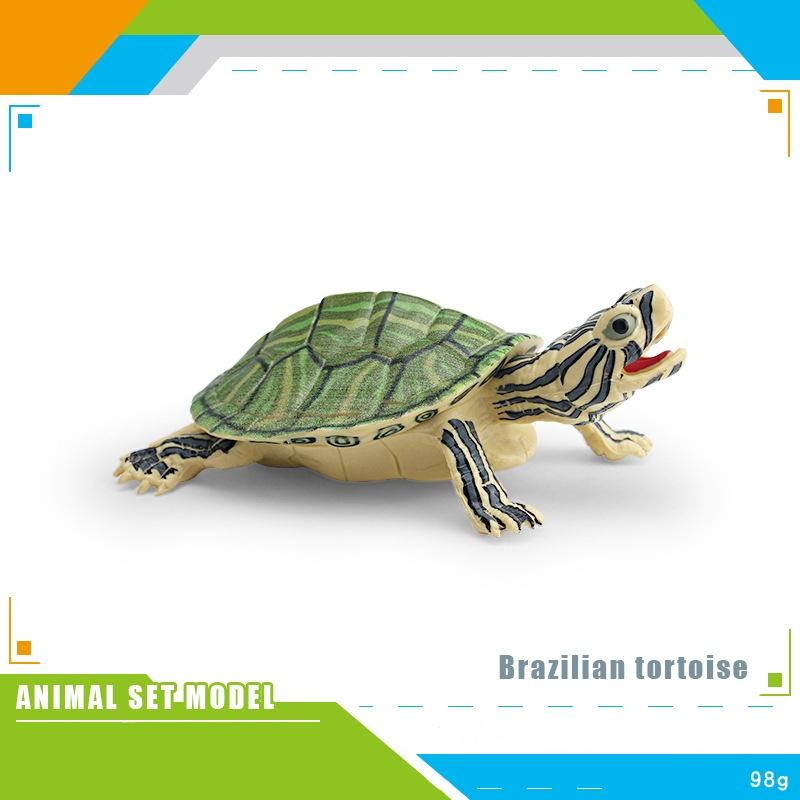 Children Simulated Turtle Model Static Solid Model Toy Animal Set Various Turtle Ornaments Radiated Tortoise Brazilian Slider