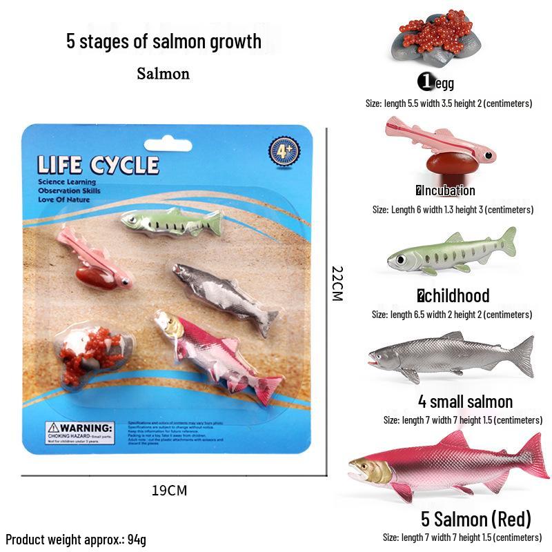 Mini Animal Growth Cycle Toys: Butterfly, Rooster, Ant, Frog, Sea Turtle, Dragonfly