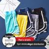 Men's Spring Ice Silk Mesh Boxer Briefs: Antibacterial, Breathable, Mid-Rise, Sporty Underwear for Teens