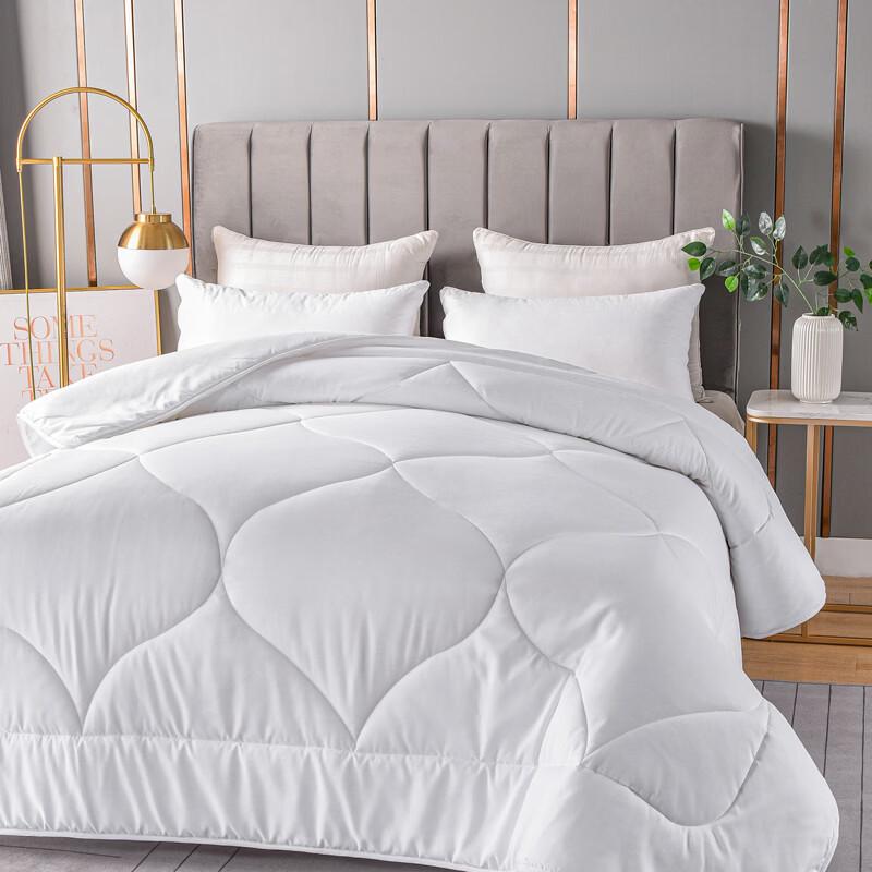 LOVO Luxurious All-Season Warm Quilt