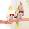 Parrot Diaper with Bowtie Cute Colorful Fruit Floral Cockatiel Pigeons Small Medium Large Pet Birds Flight Suit Clothes Washable