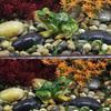 Hot Sold Cute Frog Mini Resins Crafts Fairy Garden Miniatures DIY Terrarium Succulents Miniatures Micro Landscape Decoration