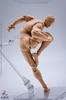 WIND TOYS 1/12 Scale PVC & POM Super Articulated Figure, Male Body, Normal