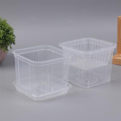 10Cm Square Root Control Transparent Flower Pot For Phalaenopsis Orchid Cattleya Planting With Stomata Flower Pot Home Decor