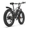GOGOBEST GF600PLUS All-Terrain Adult Electric Bike 48V20Ah Battery 1000W Motor E-Mountain Bike 26 Inch Off-Road Tires Outdoor Electric Bicycle