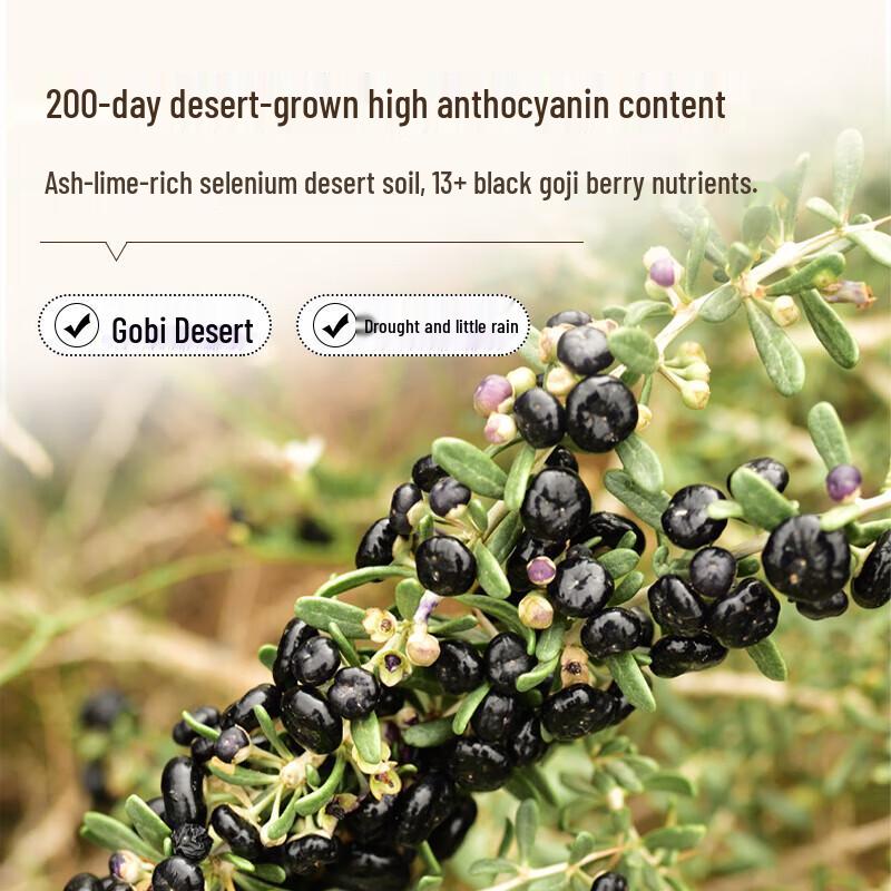 Tong Ren Tang Black Goji Berries
