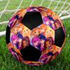 Pallone da Calcio Winx Club Taglia 5, Adatto per Partite Indoor e Outdoor, un Regalo Adatto a Tutti.