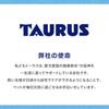 Torus Toothbrush Rakuya 25g