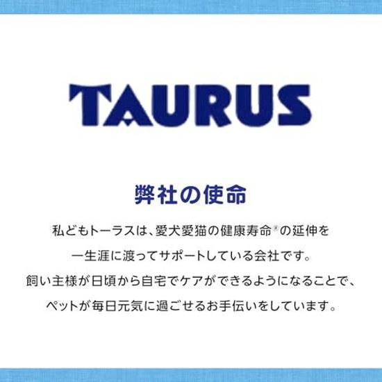 Torus Toothbrush Rakuya 25g