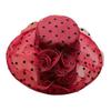 Women's Vintage Polka Dot Organza Sun Hat - Mesh Fascinator for Summer