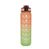 Water Bottle Gradual Change Matte Large Capacity Water Cup Elastic Cover Straw Cup 11OZ Portable Sports Kettle
