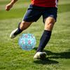 1pc Sea Turtle Flowers Theme Soccer Ball Football, Size 5, Lightweight PVC, Outdoor Training Soccer Ball,Gift J61413