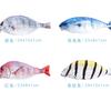 Kreatives Fisch-Federmäppchen Große Kapazität Stifte-Etui Tasche Lustige Schul-Federmäppchen Schreibwaren Kawaii Federmäppchen