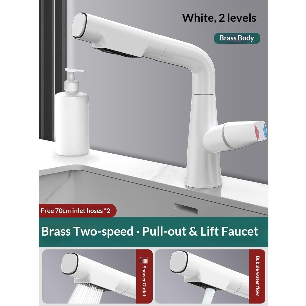 Premium Brass Pull-Out Basin Faucet Liftable Rotatable Spout Mixer Tap With Dual Spray Options Cold Water Control