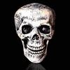 Halloweenská dekorace kostry s kolíkem Realistická kostra ruka paže s kolíkem do trávníku Venkovní lebka kost dvora cedule pro zahradu trávník hřbitovní dekorace