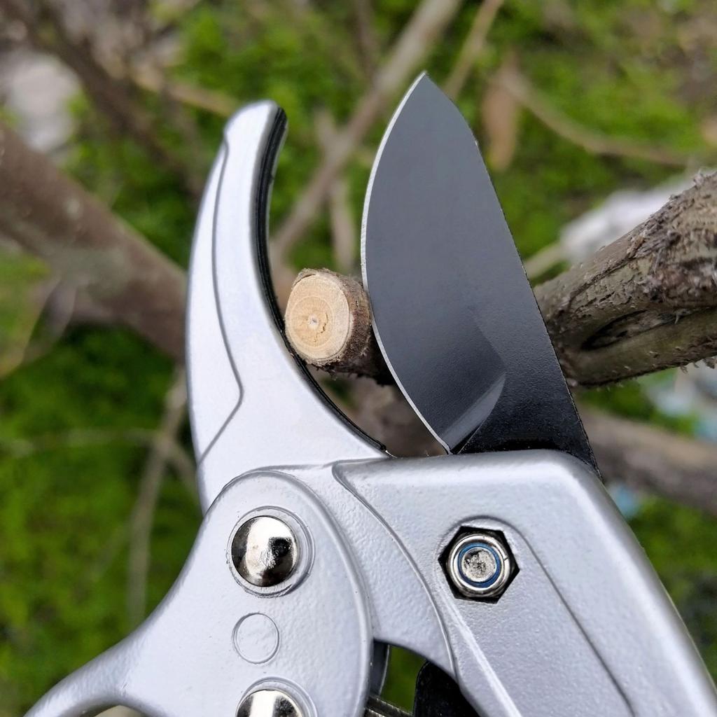 Lättanvända trädgårdssaxar, Specialiserade saxar för beskärning av grenar och blommor, Beskärningsverktyg för blomsterarrangemang för hemmabruk