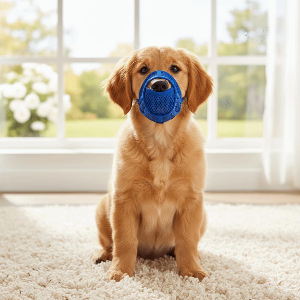 Breathable Dog Mesh Muzzle Prevent Barking Dog Muzzle Buckle Pet Training Muzzle  Dog Walking