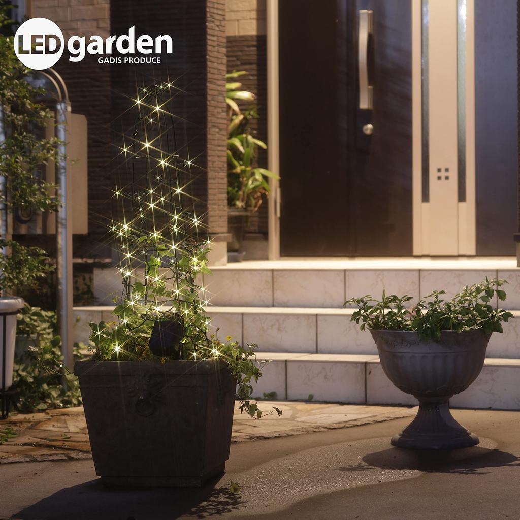 Takasho Solar Illumination, 50 Bulbs, Champagne Gold [LGI-ST50C] Christmas Decorations, Outdoor LED Lights