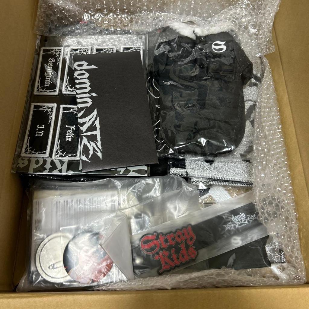 [USED] Stray Kids Han Fan Upgrade Bonus