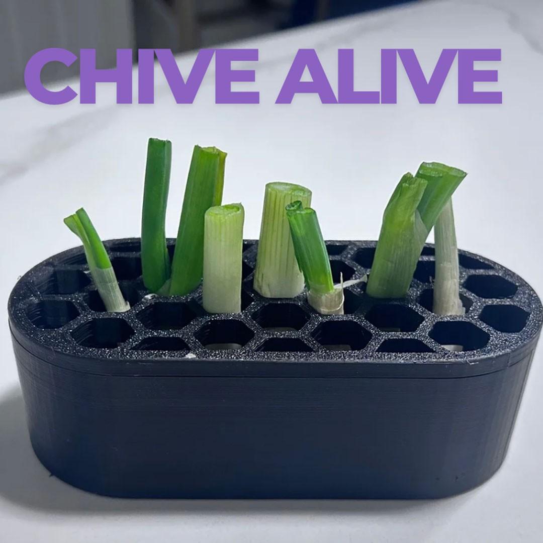 

Scallion Regeneration Set-no Skills, Easy to Grow Green Onions at Home Compact System for Balconies, Fast Regeneration of Green Onions 1PCS чорний