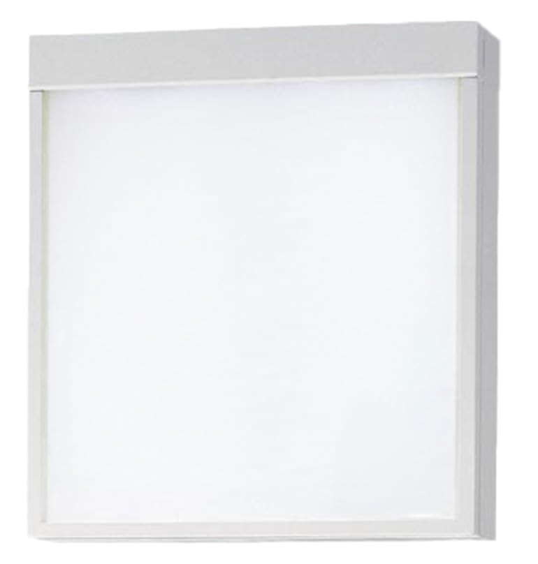 Panasonic FA10312CLE1 LED Emergency Standard Ceiling Wall or Ceiling Function with Remote Class Light, Single-Sided, Type, Mount, Mount, Suspended,