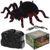 Remote Controlled Wall-Climbing Spider Rc Glowing Eyes Spider